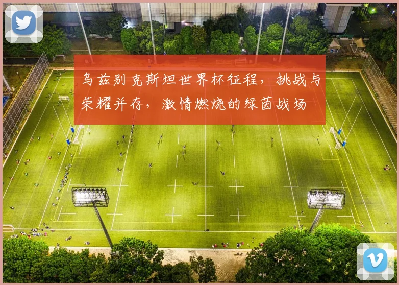 乌兹别克斯坦世界杯征程，挑战与荣耀并存，激情燃烧的绿茵战场
