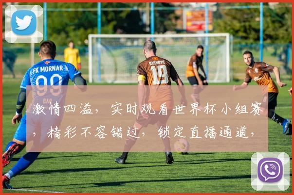 激情四溢，实时观看世界杯小组赛，精彩不容错过，锁定直播通道，共赴足球盛宴