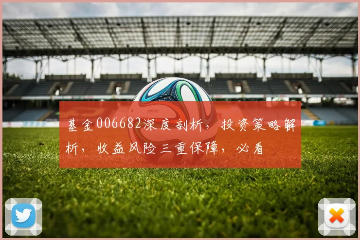 基金006682深度剖析，投资策略解析，收益风险三重保障，必看